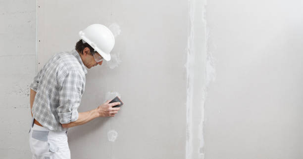 Best Drywall Installation  in Johnsburg, IL