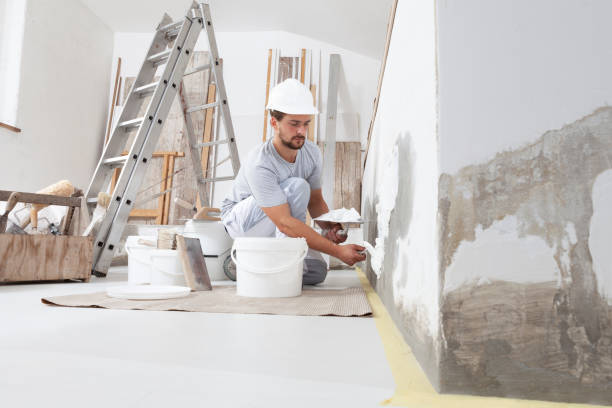 Best Drywall Removal and Disposal  in Johnsburg, IL