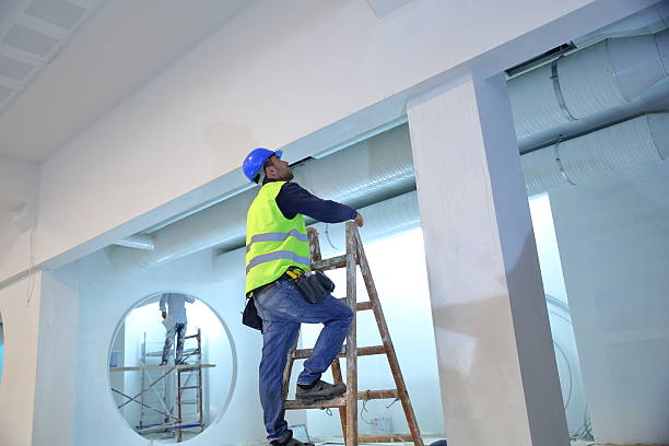 Best Eco-Friendly and Low-VOC Painting  in Johnsburg, IL